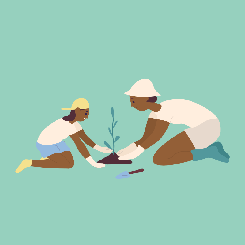 Role of Teachers and Mentors